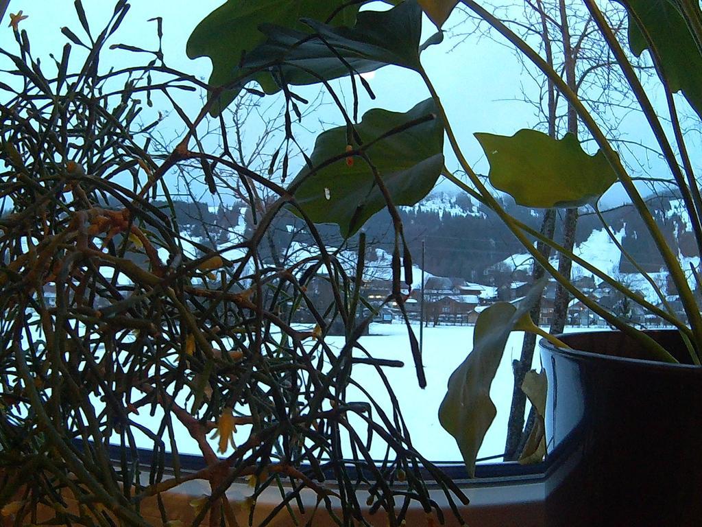 Pension Alpenblick Schattwald Extérieur photo